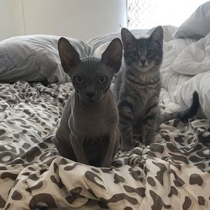 Meet your Posher, Sabryna